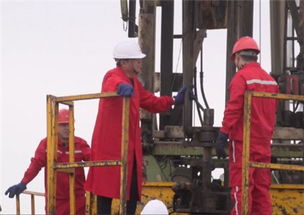 大港油田井下作業(yè)公司與準(zhǔn)東采油廠開展技術(shù)交流 共促油田開采技術(shù)創(chuàng)新